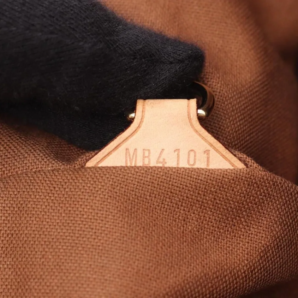 Dame Louis Vuitton Vintage Louis Vuitton Tivoli