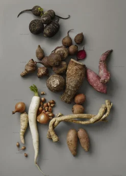 Poster & Frame MAD/PLAKAT - Grå rødder- pl Flerfarvet Clearance