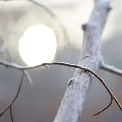 Maison Margiela Replica By the Fireplace