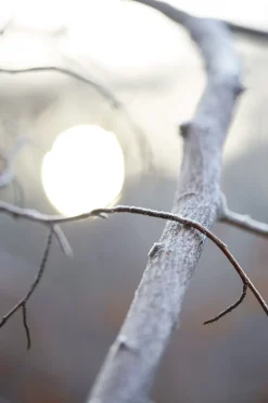 Maison Margiela Replica By the Fireplace
