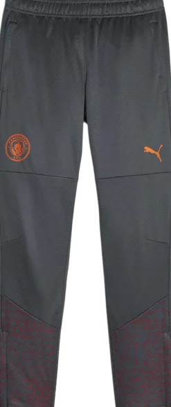 Børn Puma Manchester City JR træningsbukser