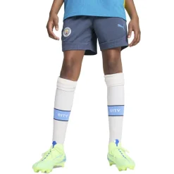 Puma Manchester City Shorts Blå New