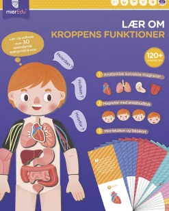 mierEdu - Magnetisk legesæt - Lær om kroppens funktioner Hot