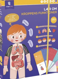 mierEdu - Magnetisk legesæt - Lær om kroppens funktioner Hot