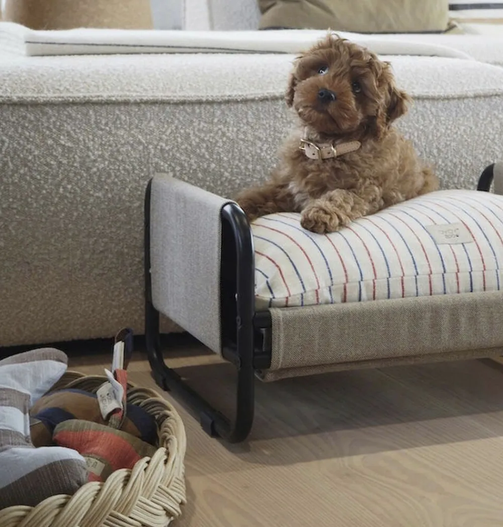 OYOY Living Design Milo Hundeseng - Medium Sale