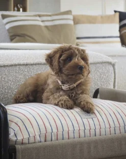 OYOY Living Design Milo Hundeseng - Medium Sale