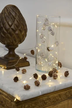 Sirius Molly kogler sne 20L