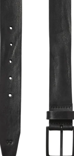 Montevideo>Saddler Sale