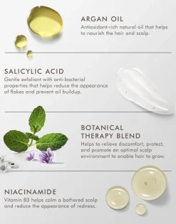 Scalp Shampoo 250 ml.><noscript><img width=