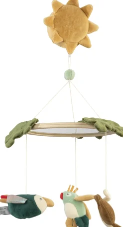 Musik- & spejluro, Safari>Sebra New