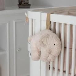 Sebra Musikuro, Fanto, birchbark rose New