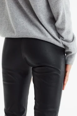 Naia 1><noscript><img width=