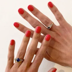 Nailberry Sacred Lotus