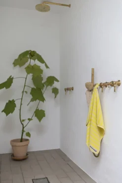 Naram><noscript><img width=