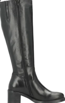 NEVADA><noscript><img width=