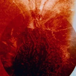 BYREDO Night Veils Rouge Chaotique