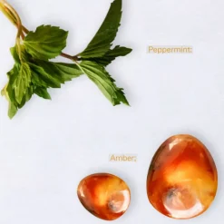 Oceanic Amber Eau De Toilette><noscript><img width=