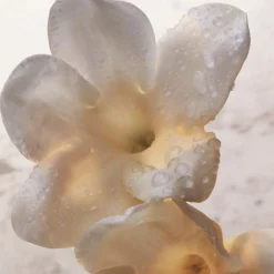 Rabanne Olympea Deodorant Spray 150 ml