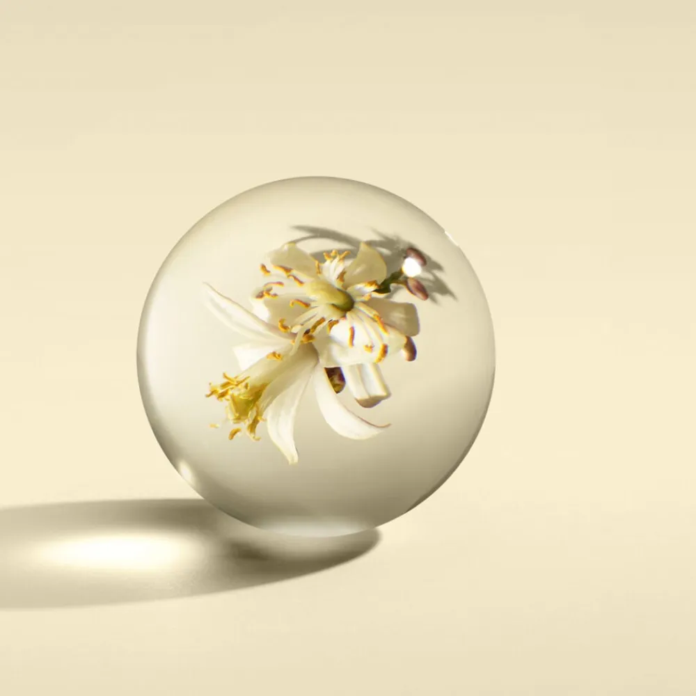 Orange & Bergamot Fine Liquid Hand Wash>Molton Brown Clearance