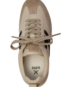 ORBIT 77><noscript><img width=