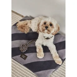 OYOY Living Design Otte Hunde Reblegetøj Online