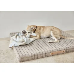 OYOY Living Design Otte Hunde Reblegetøj Online