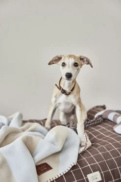 OYOY Living Design Otte Hunde Reblegetøj Online