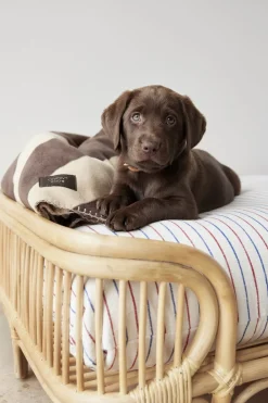 OYOY Living Design Otte Hundeseng - Medium