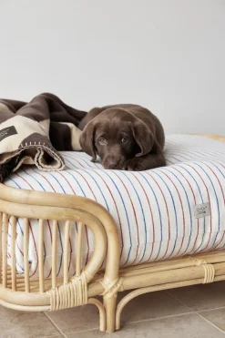 OYOY Living Design Otte Hundeseng - Medium