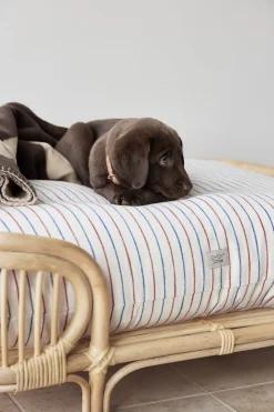 OYOY Living Design Otte Hundeseng - Medium