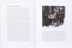 New Mags Oyster - A Gastronomic History