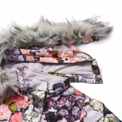 Peace><noscript><img width=