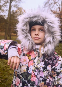 Peace><noscript><img width=