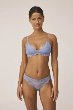 Petal 2 Brief><noscript><img width=