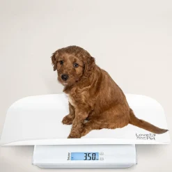 Beurer PetCare PP 170 Polly Multifunktionsvægt til kæledyr Clearance