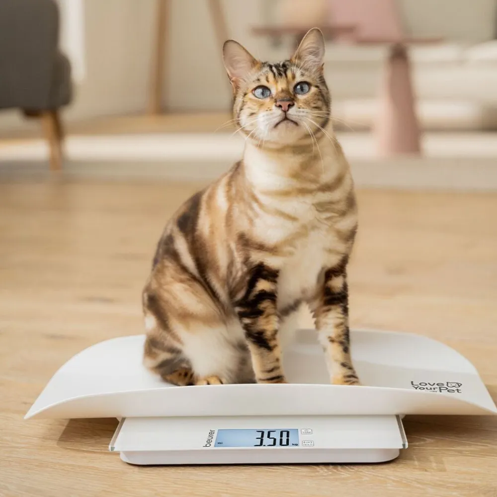 Beurer PetCare PP 170 Polly Multifunktionsvægt til kæledyr Clearance