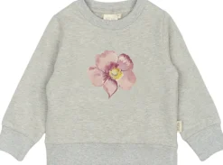 PETIT PIAO ppDov Sweat shirt Autumn anemone New