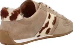 Dame Phenumb Copenhagen PX 840L