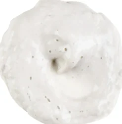 Kiehl's Rare Earth Deep Pore Daily Cleanser 75 ml.