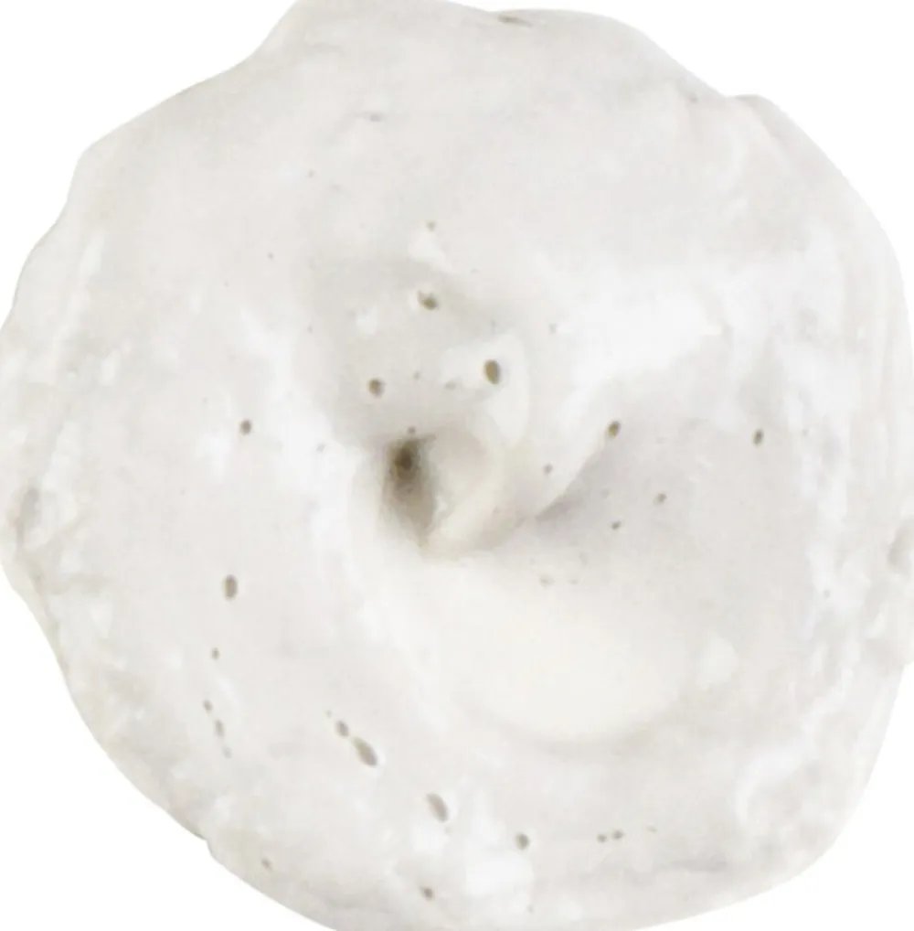 Kiehl's Rare Earth Deep Pore Daily Cleanser 75 ml.