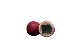 REGULAR CRISPY RASPBERRY>Lakrids by Bülow Clearance