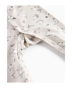 Renas><noscript><img width=