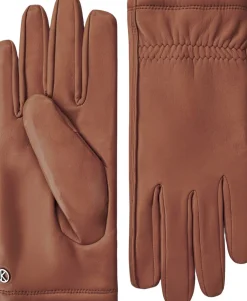 Robin><noscript><img width=