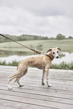 Robin Hundehalsbånd - Stor>OYOY Living Design Outlet