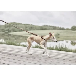 OYOY Living Design Robin Hundesnor - M/L