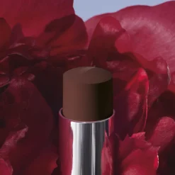 DIOR Rouge Forever Stick 400 3. 2G
