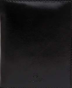 Salerno pung ninni><noscript><img width=