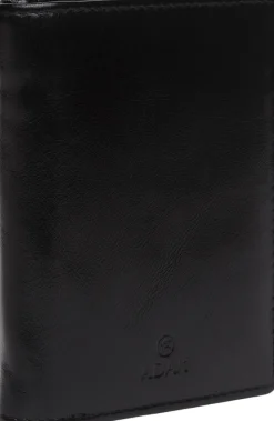 Salerno pung ninni><noscript><img width=