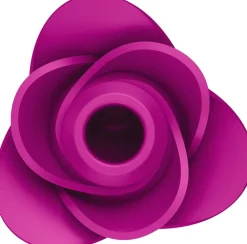 Pro 2 Modern Blossom><noscript><img width=