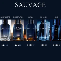 DIOR Sauvage Parfums Travel Spray 30ML INT25